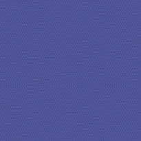 R2P001R29